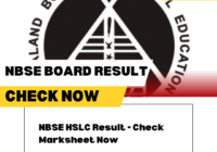 nbse hslc results 2024