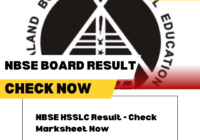 nbse hsslc results 2024